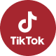 Tiktok icon